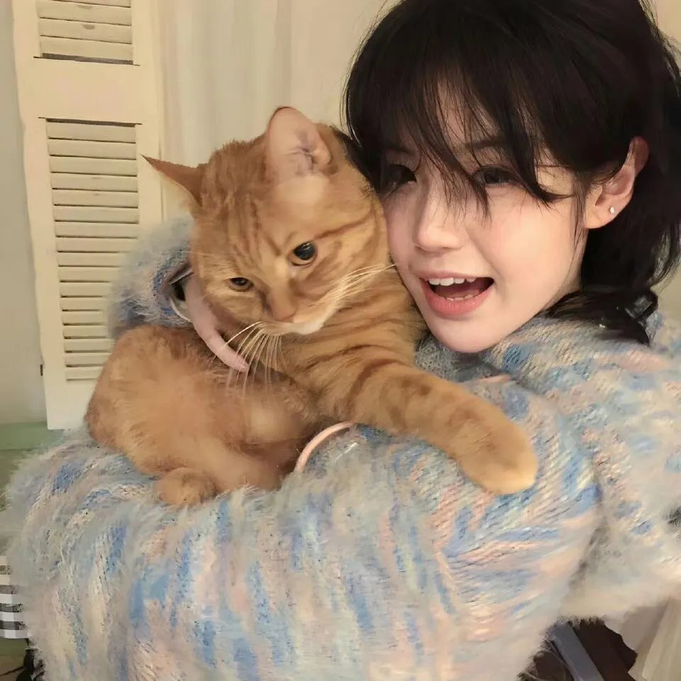 流星划破夜空时